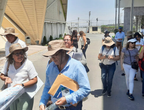 Rumbo al Foro APEC 2024